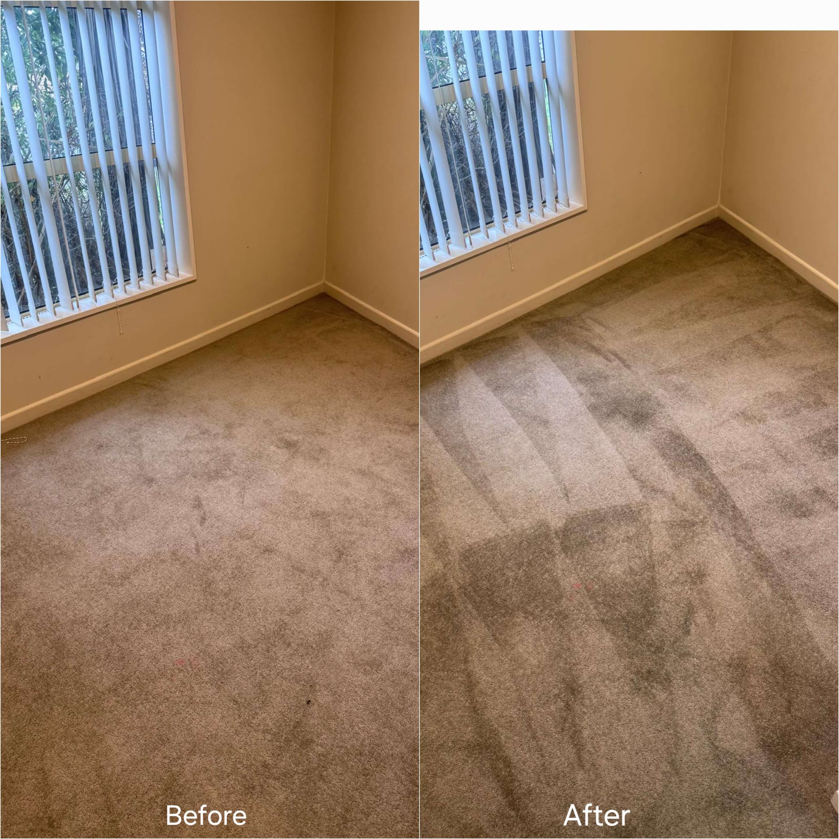 Cleaning job Christchurch August 2024