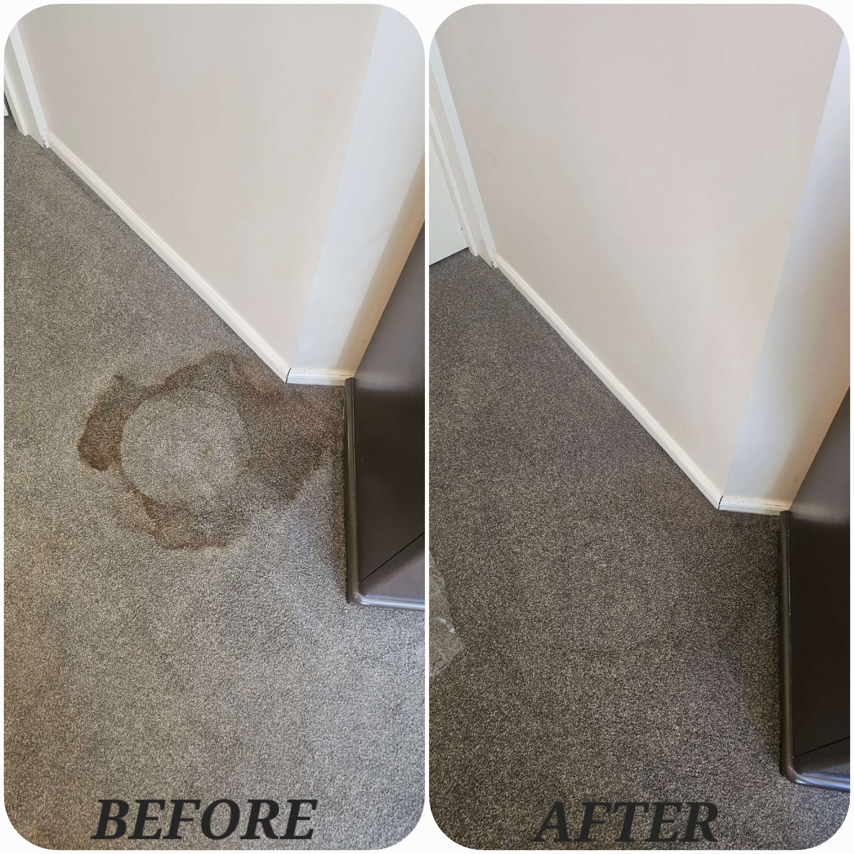 Professional cleaning November 2024