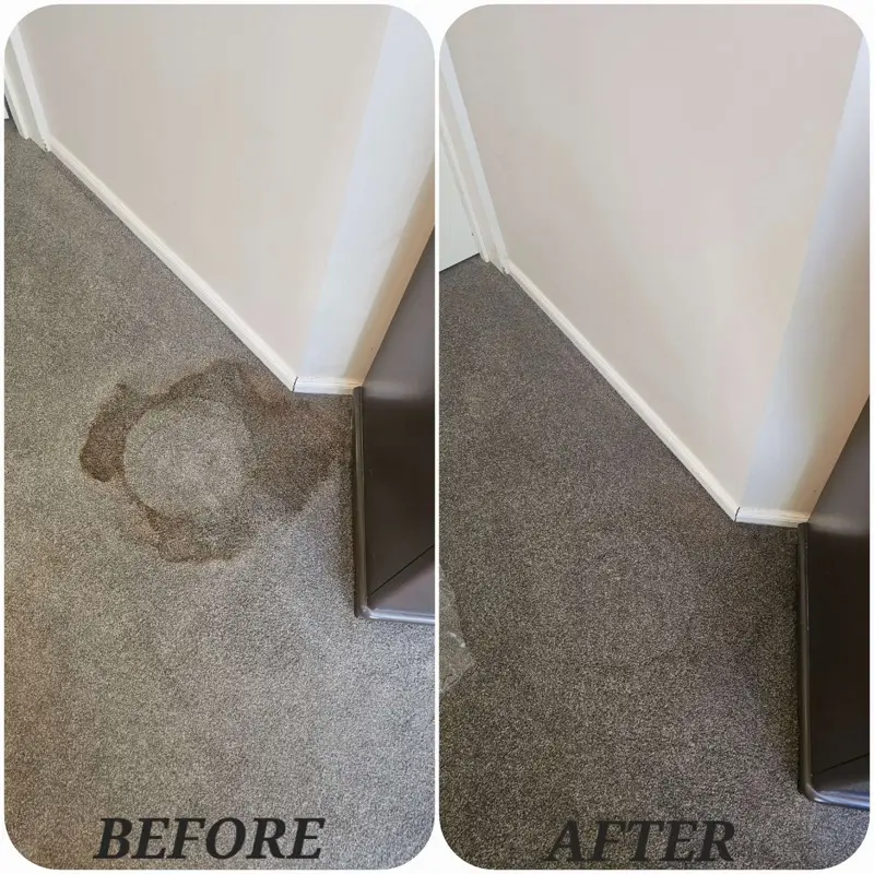 Before and after: Carpet stain removal by SN Cleaning Services, Christchurch