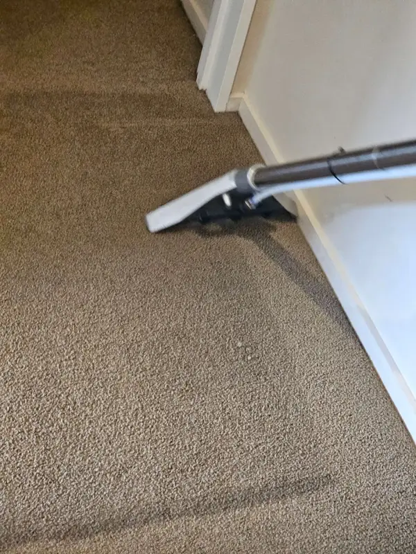 Carpet steam cleaning in progress by SN Cleaning Services, Christchurch