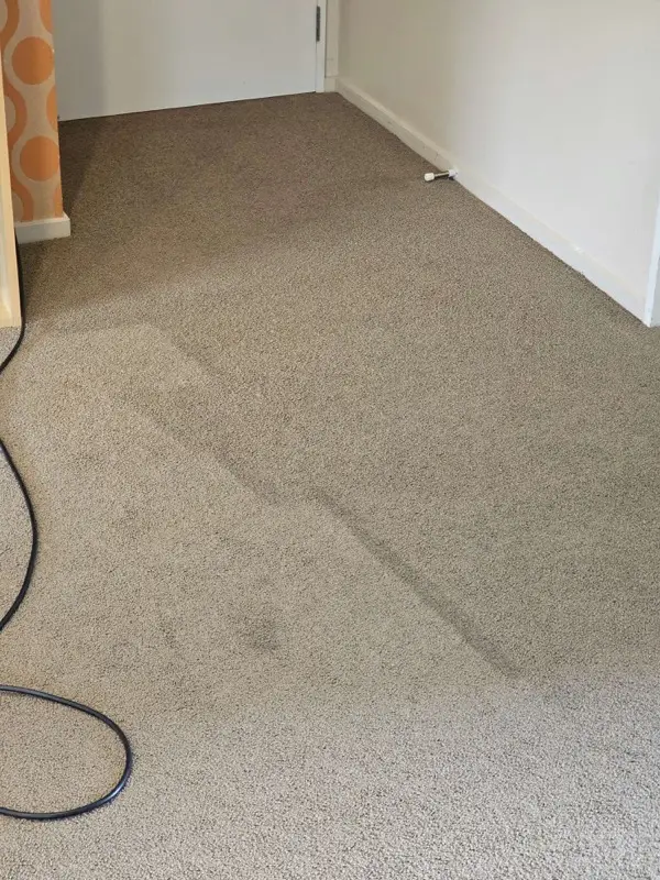 Carpet steam cleaning in progress by SN Cleaning Services, Christchurch