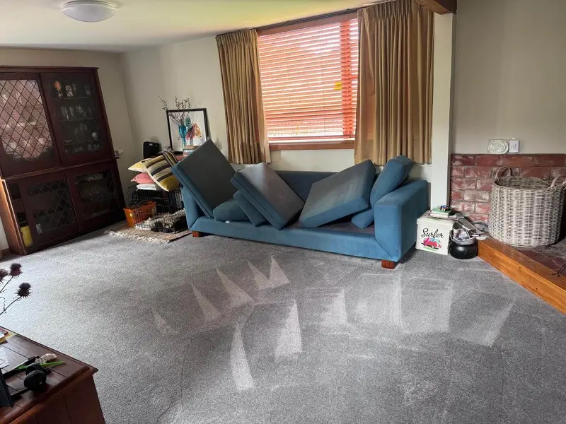 Lounge carpet steam clean by SN Cleaning Services, Christchurch