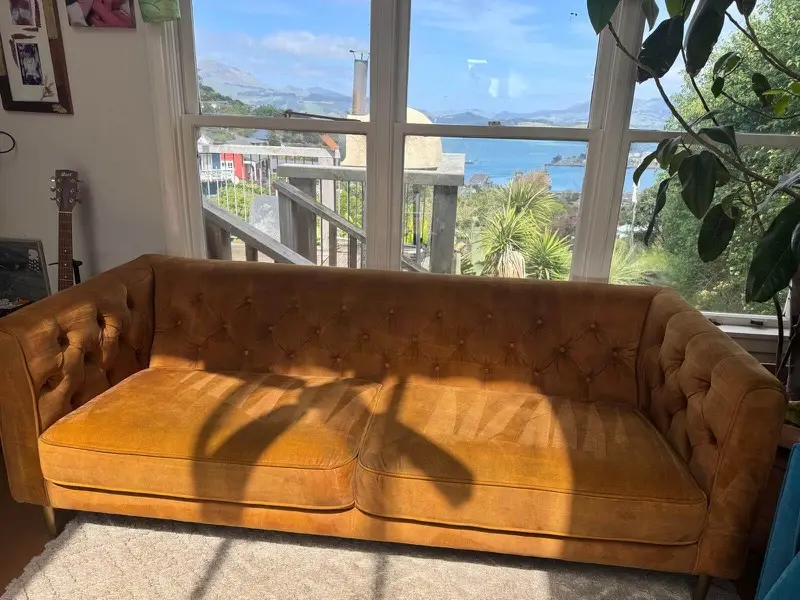 Velvet sofa upholstery clean by SN Cleaning Services, Christchurch
